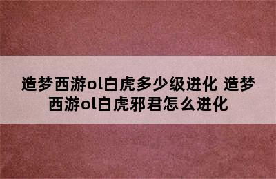 造梦西游ol白虎多少级进化 造梦西游ol白虎邪君怎么进化